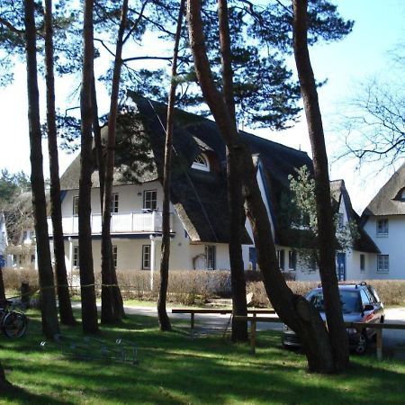 Zingst Achtern Diek 12D Elly Zewnętrze zdjęcie