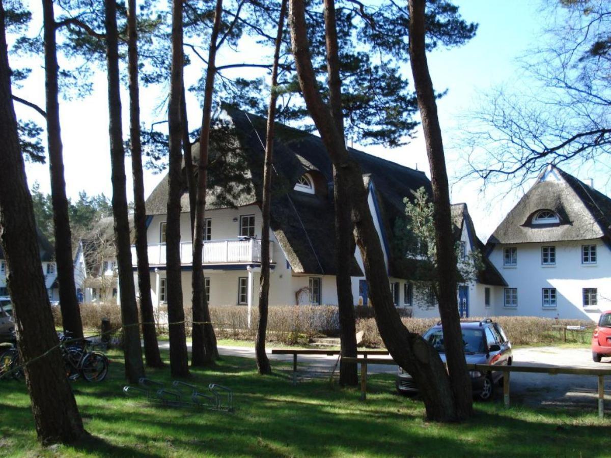 Zingst Achtern Diek 12D Elly Zewnętrze zdjęcie