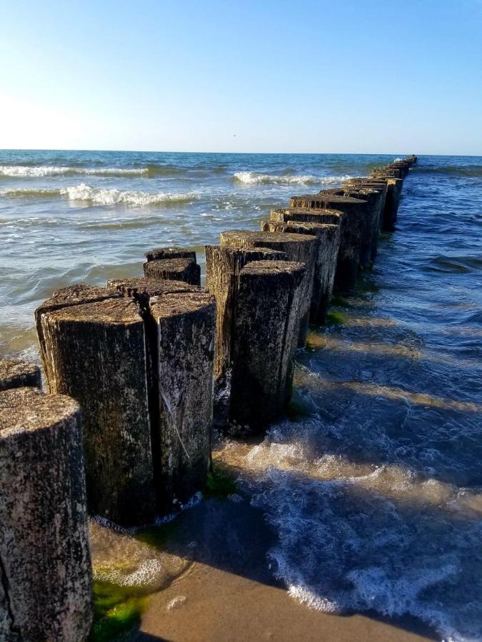 Zingst Achtern Diek 12D Elly Zewnętrze zdjęcie