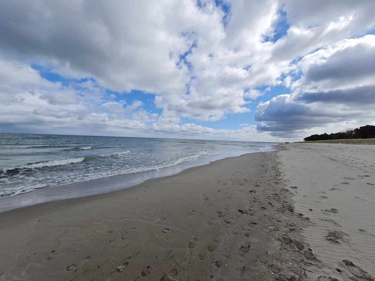 Zingst Achtern Diek 12D Elly Zewnętrze zdjęcie