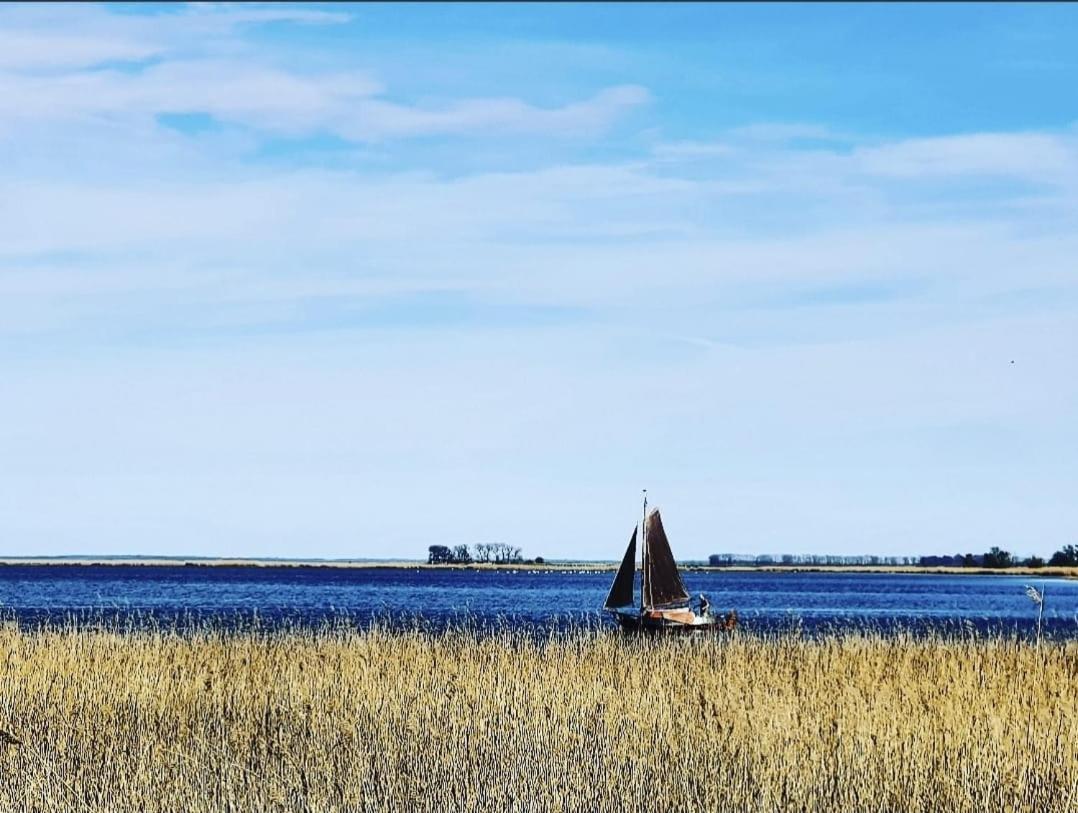 Zingst Achtern Diek 12D Elly Zewnętrze zdjęcie