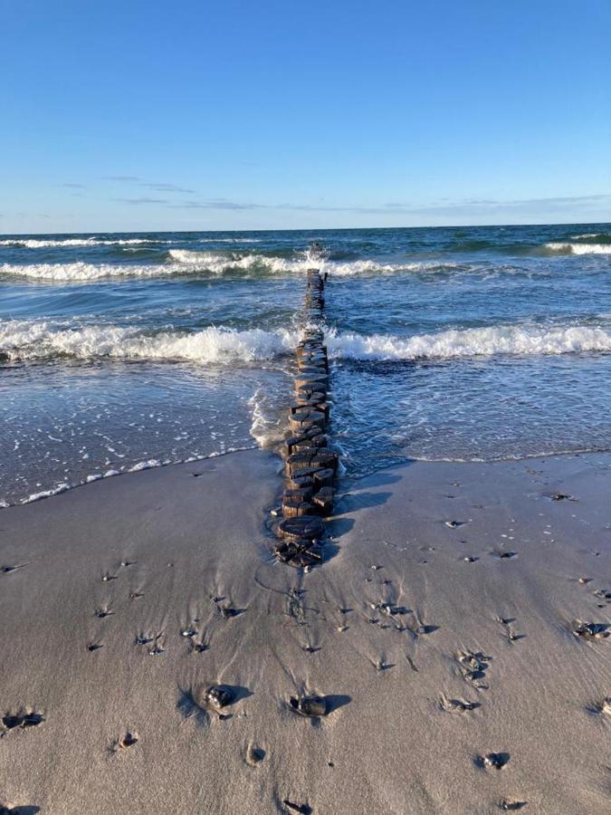 Zingst Achtern Diek 12D Elly Zewnętrze zdjęcie