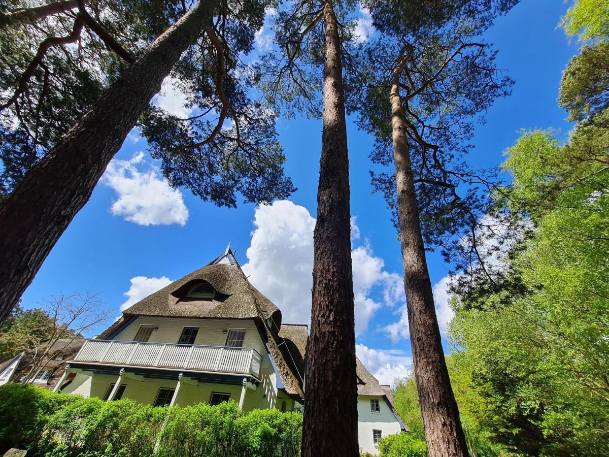 Zingst Achtern Diek 12D Elly Zewnętrze zdjęcie